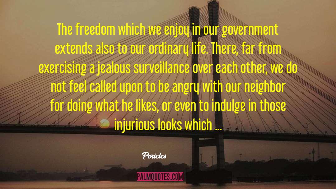 Pericles Quotes: The freedom which we enjoy