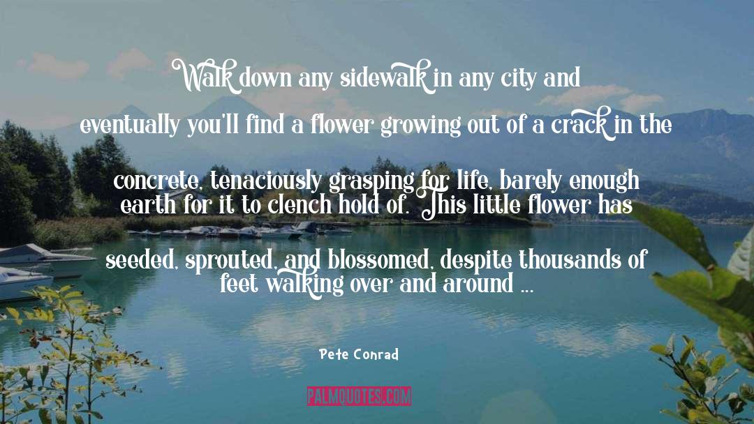 Pete Conrad Quotes: Walk down any sidewalk in
