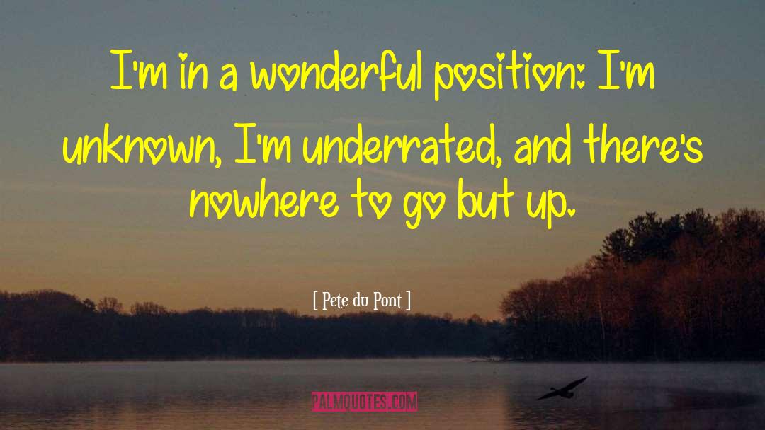 Pete Du Pont Quotes: I'm in a wonderful position: