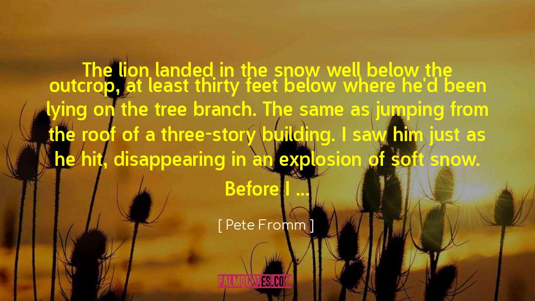 Pete Fromm Quotes: The lion landed in the