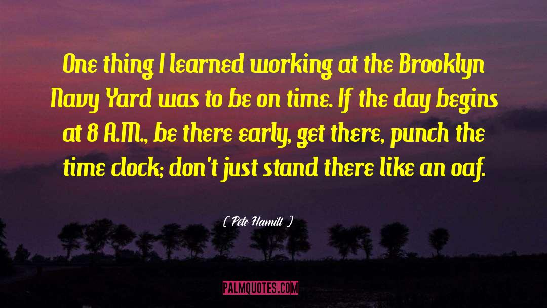 Pete Hamill Quotes: One thing I learned working