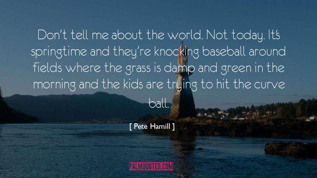 Pete Hamill Quotes: Don't tell me about the