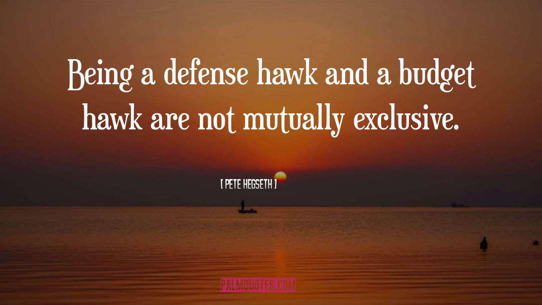 Pete Hegseth Quotes: Being a defense hawk and