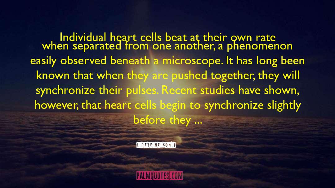Pete Nelson Quotes: Individual heart cells beat at