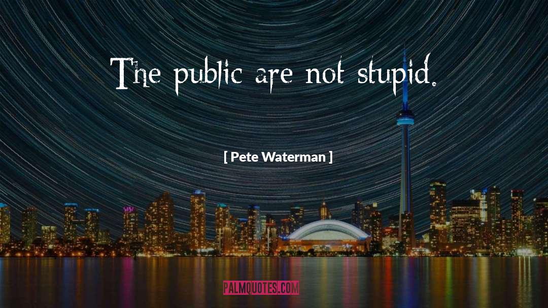 Pete Waterman Quotes: The public are not stupid.