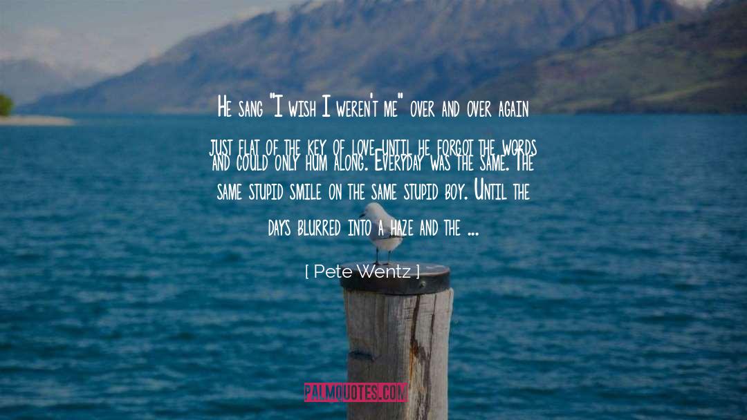 Pete Wentz Quotes: He sang 