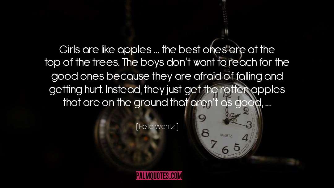 Pete Wentz Quotes: Girls are like apples ...