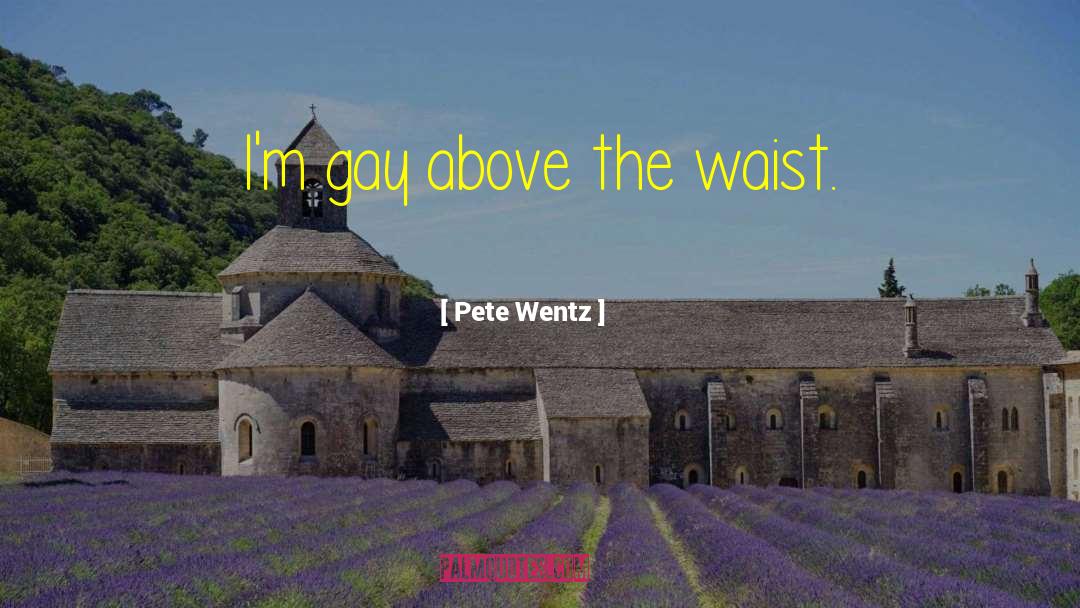 Pete Wentz Quotes: I'm gay above the waist.