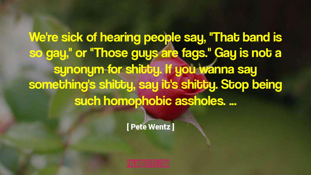 Pete Wentz Quotes: We're sick of hearing people