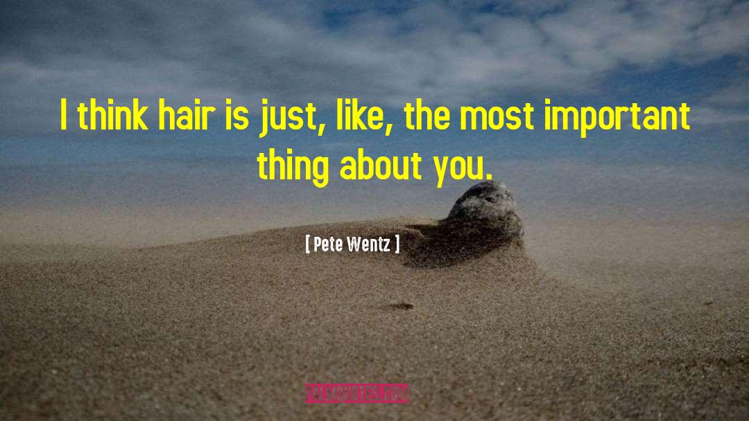 Pete Wentz Quotes: I think hair is just,