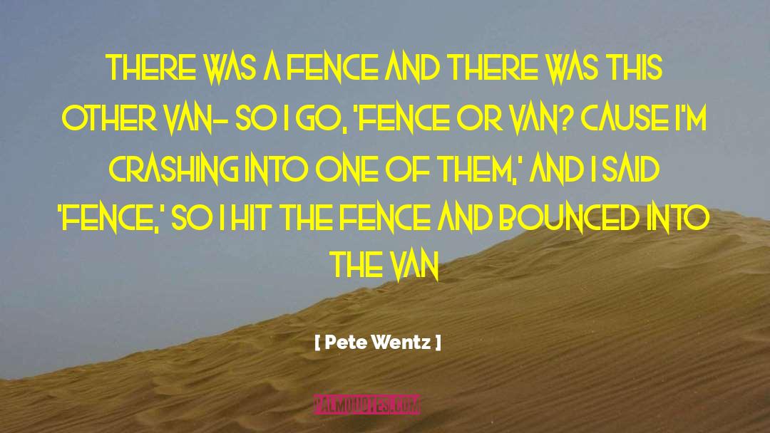 Pete Wentz Quotes: There was a fence and