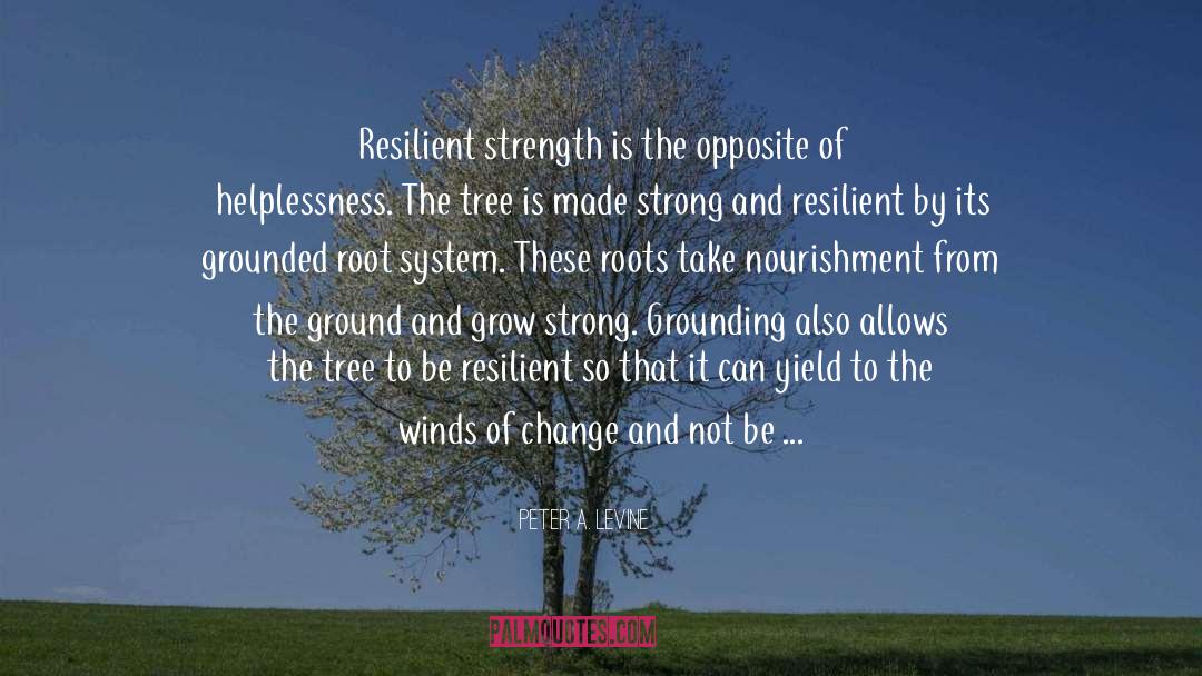 Peter A. Levine Quotes: Resilient strength is the opposite