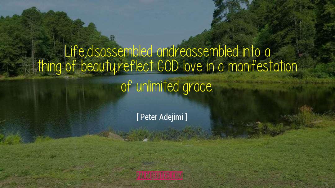 Peter Adejimi Quotes: Life,disassembled and<br>reassembled into a thing