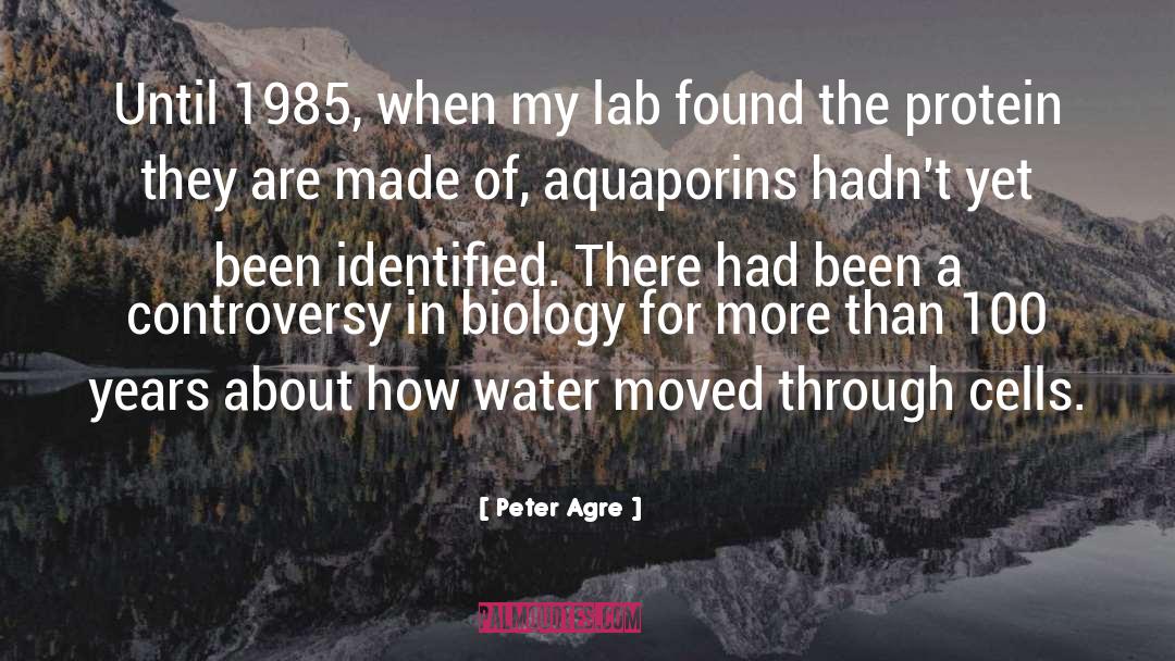 Peter Agre Quotes: Until 1985, when my lab