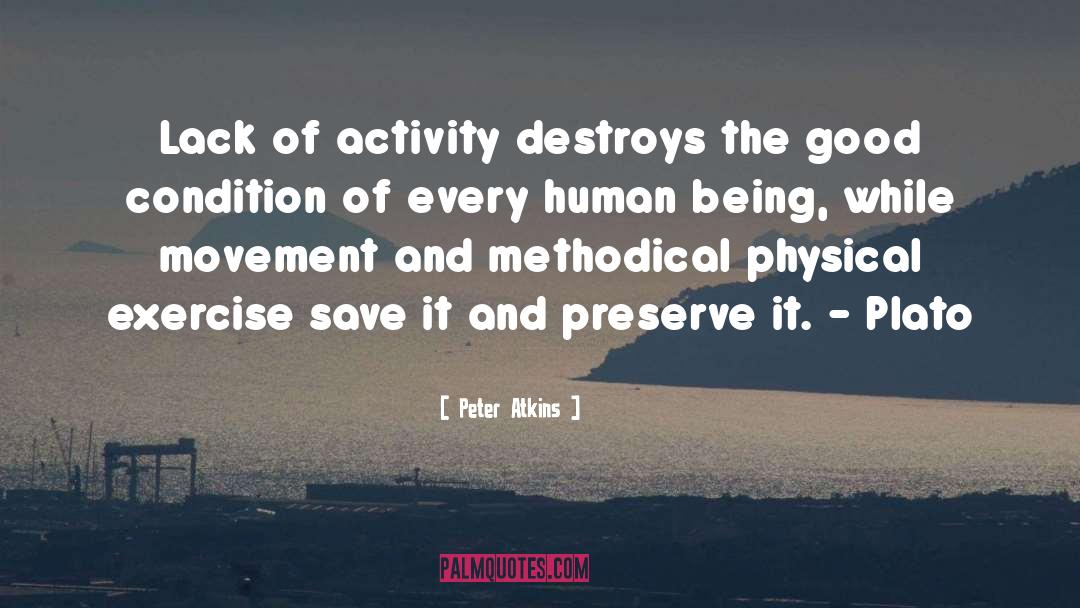 Peter Atkins Quotes: Lack of activity destroys the