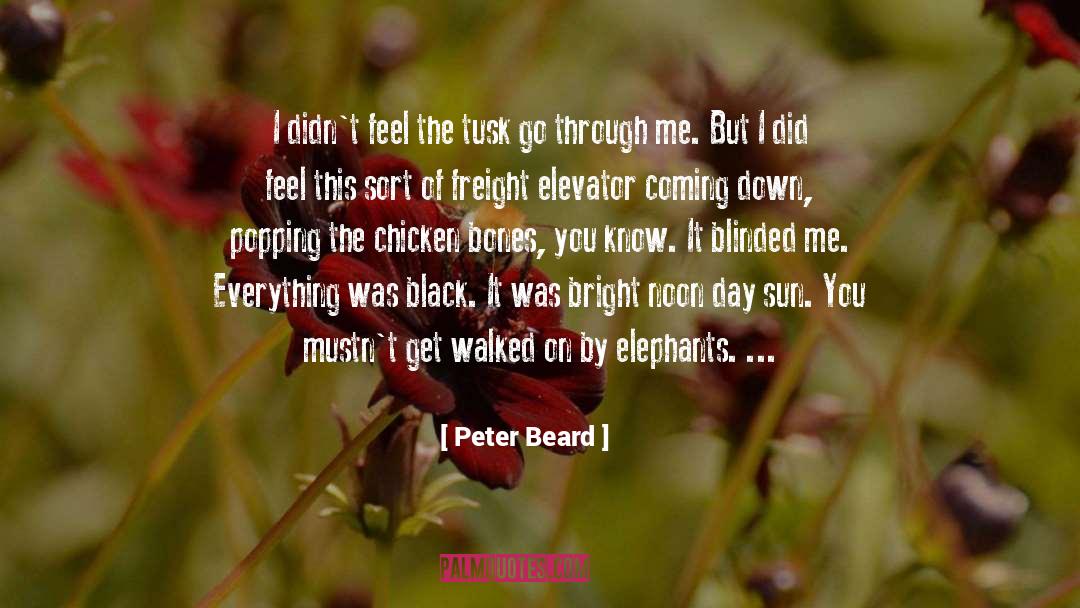 Peter Beard Quotes: I didn't feel the tusk
