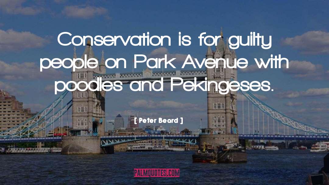 Peter Beard Quotes: Conservation is for guilty people