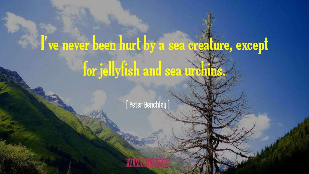 Peter Benchley Quotes: I've never been hurt by