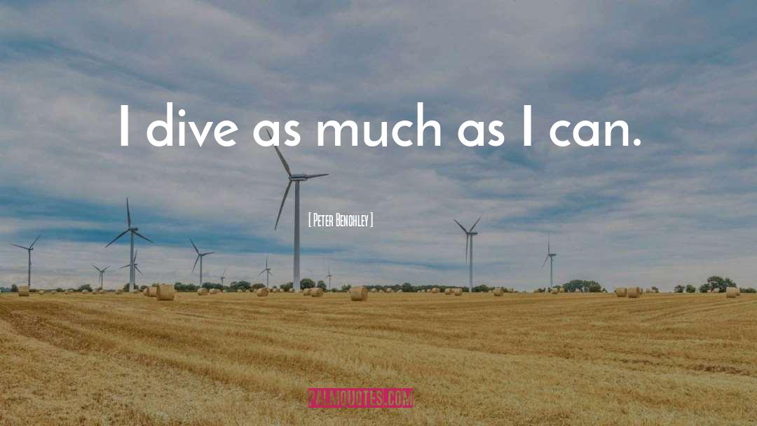 Peter Benchley Quotes: I dive as much as