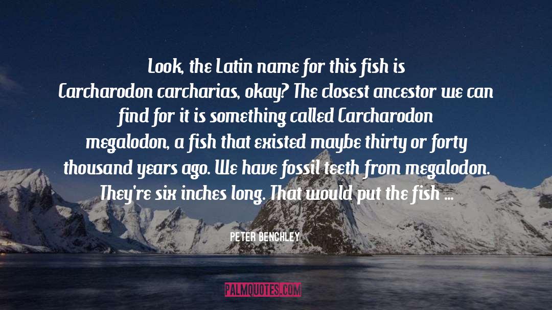 Peter Benchley Quotes: Look, the Latin name for