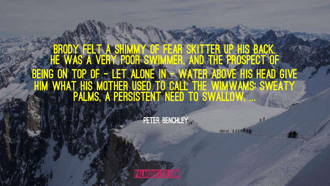 Peter Benchley Quotes: Brody felt a shimmy of