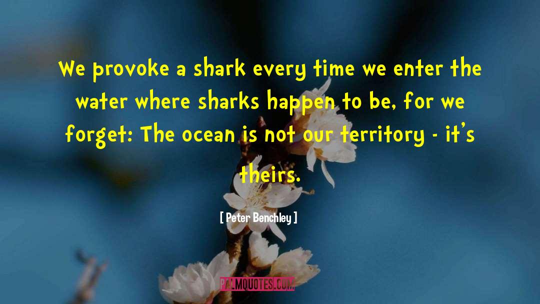 Peter Benchley Quotes: We provoke a shark every