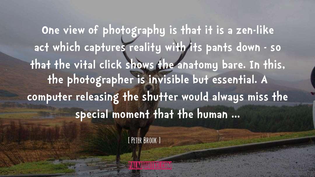 Peter Brook Quotes: One view of photography is