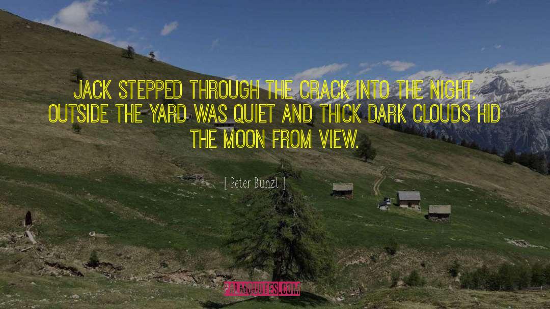 Peter Bunzl Quotes: Jack stepped through the crack