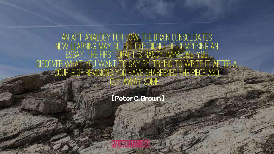 Peter C. Brown Quotes: An apt analogy for how