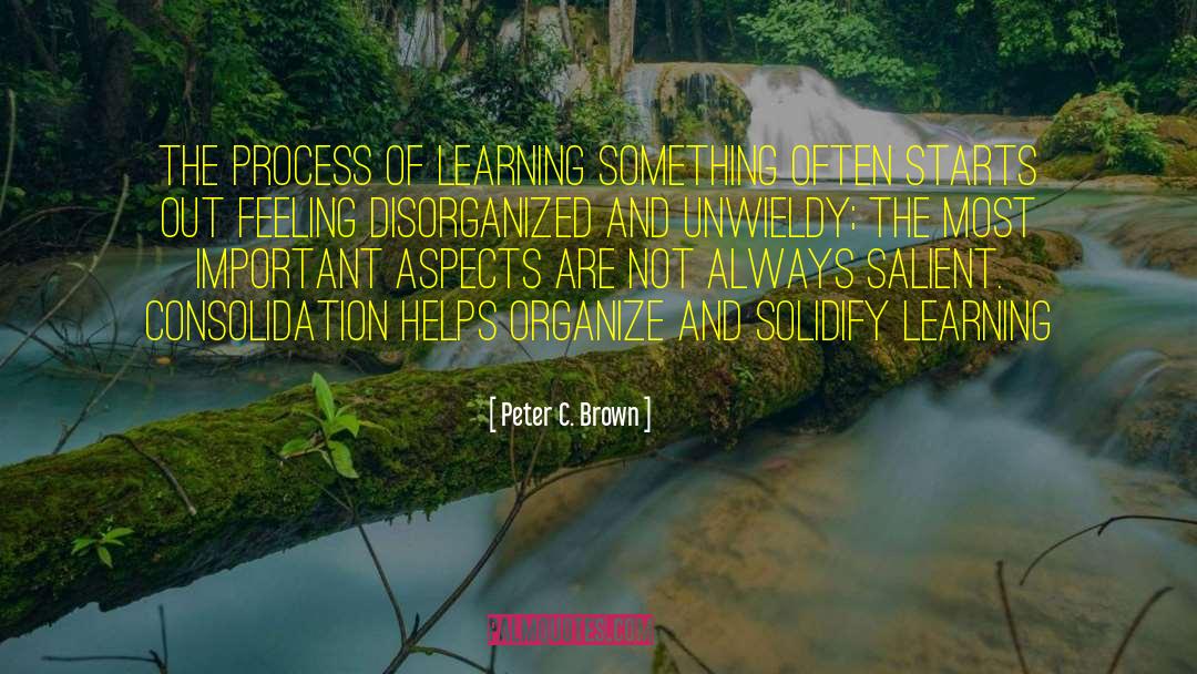 Peter C. Brown Quotes: The process of learning something