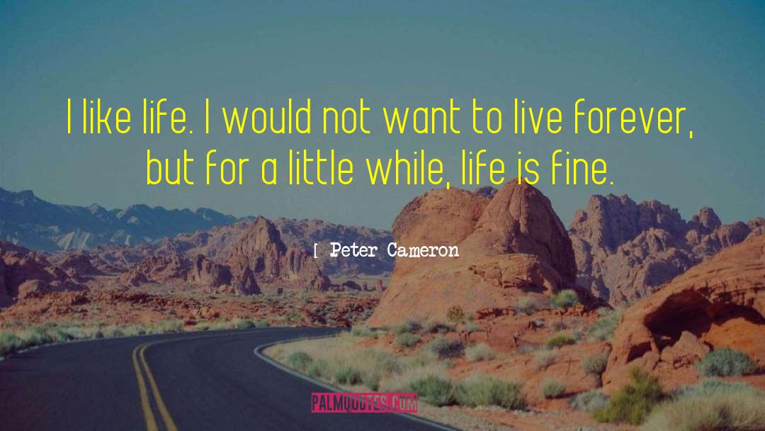 Peter Cameron Quotes: I like life. I would