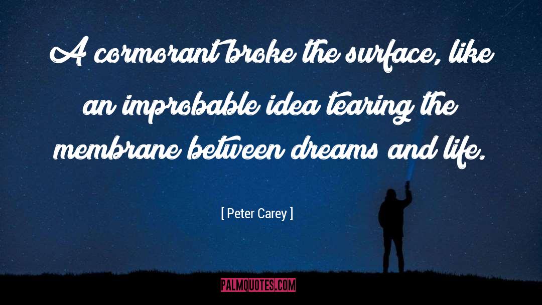 Peter Carey Quotes: A cormorant broke the surface,