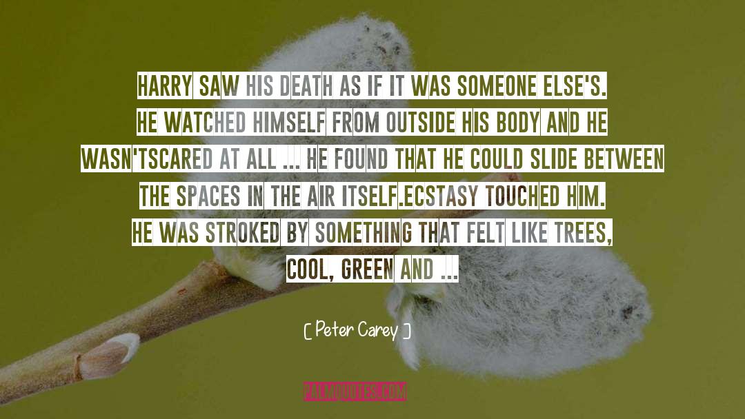 Peter Carey Quotes: Harry saw his death as