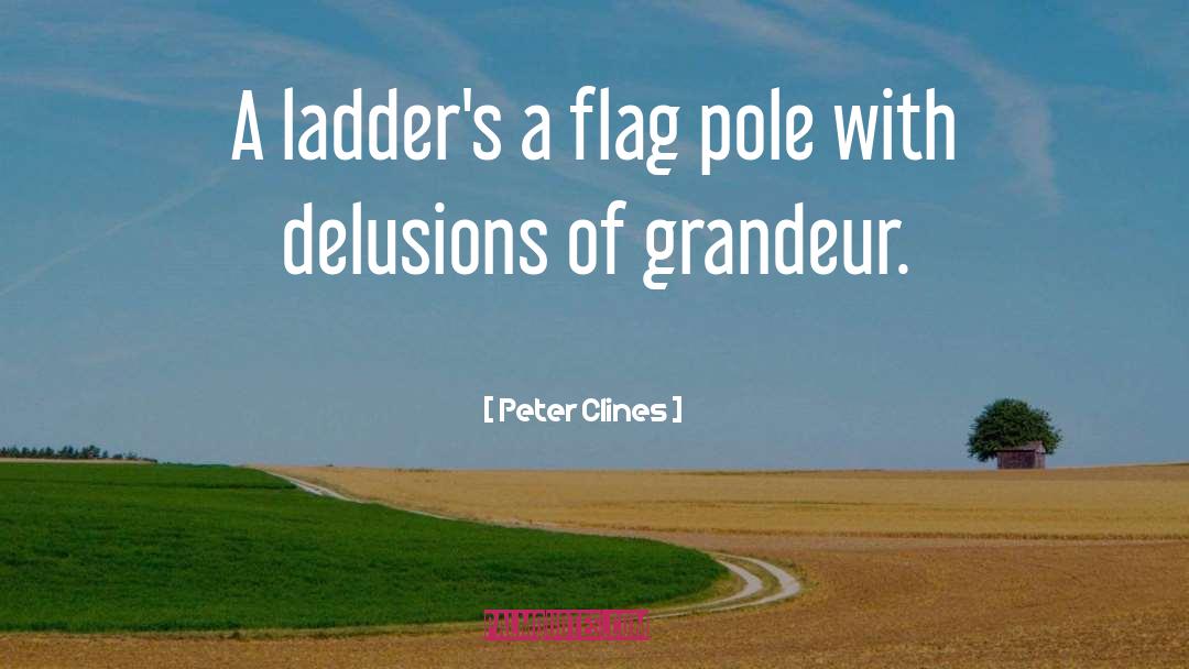 Peter Clines Quotes: A ladder's a flag pole