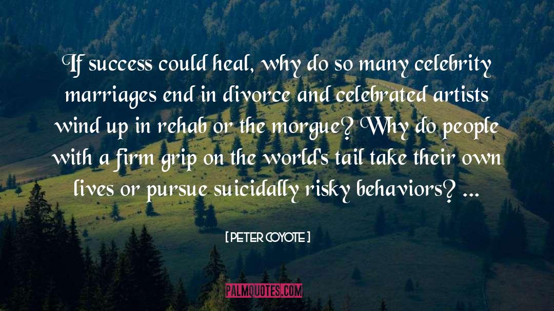 Peter Coyote Quotes: If success could heal, why