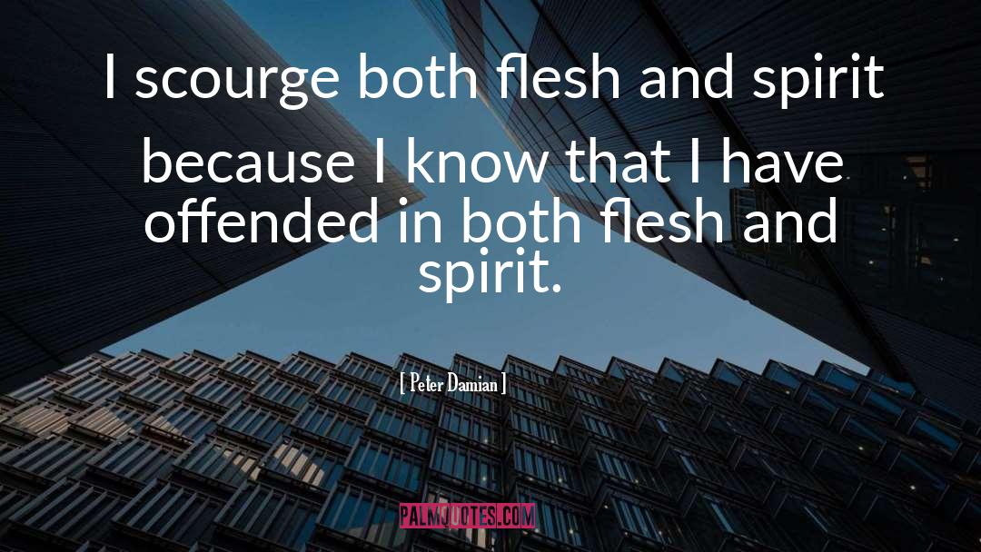 Peter Damian Quotes: I scourge both flesh and