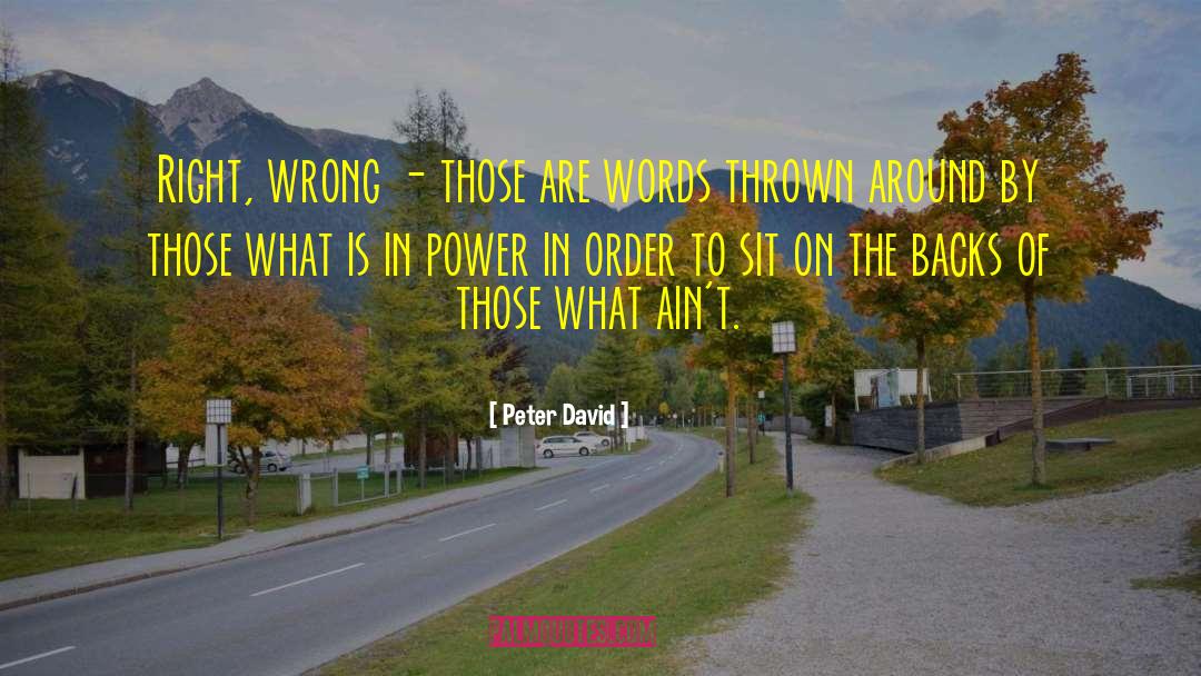 Peter David Quotes: Right, wrong - those are