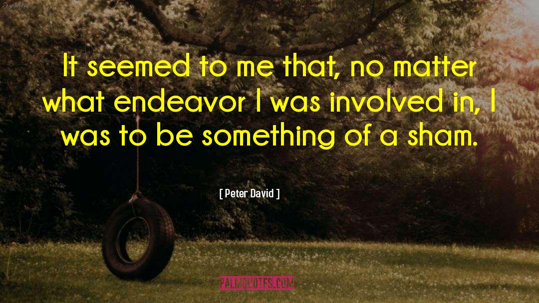 Peter David Quotes: It seemed to me that,