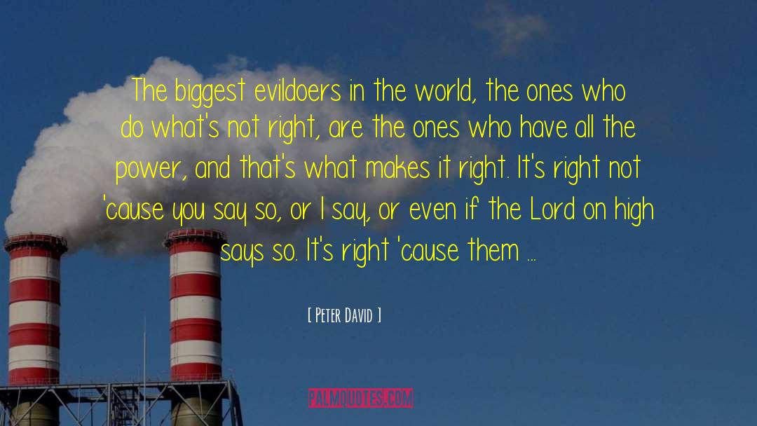Peter David Quotes: The biggest evildoers in the