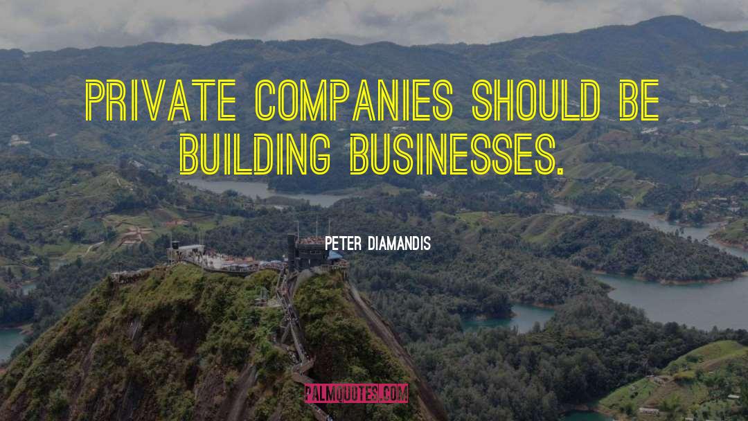 Peter Diamandis Quotes: Private companies should be building