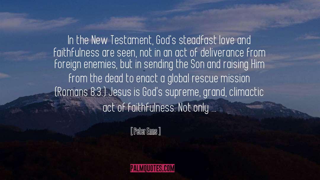 Peter Enns Quotes: In the New Testament, God's