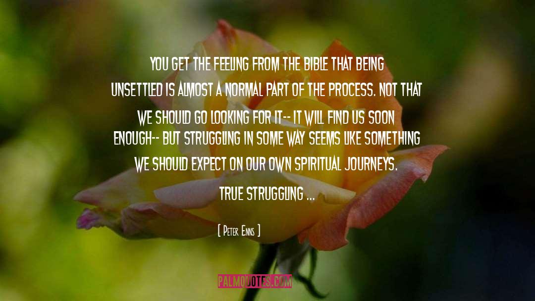 Peter Enns Quotes: You get the feeling from