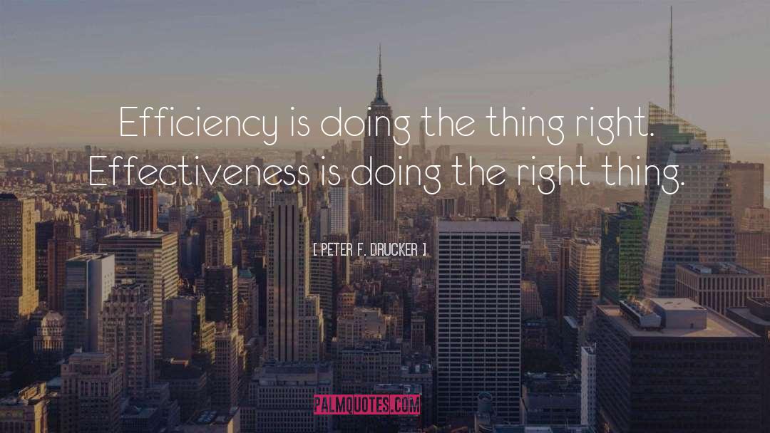 Peter F. Drucker Quotes: Efficiency is doing the thing