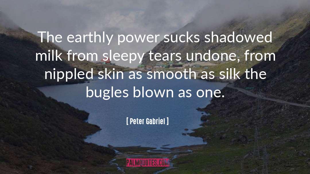 Peter Gabriel Quotes: The earthly power sucks shadowed