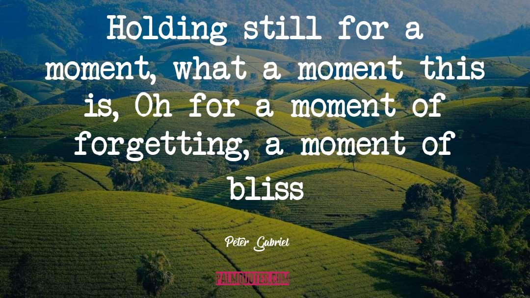 Peter Gabriel Quotes: Holding still for a moment,