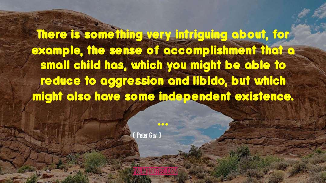 Peter Gay Quotes: There is something very intriguing