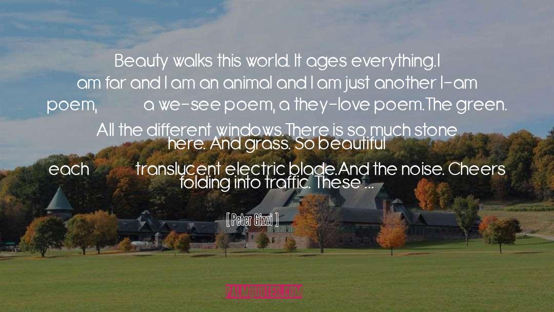 Peter Gizzi Quotes: Beauty walks this world. It