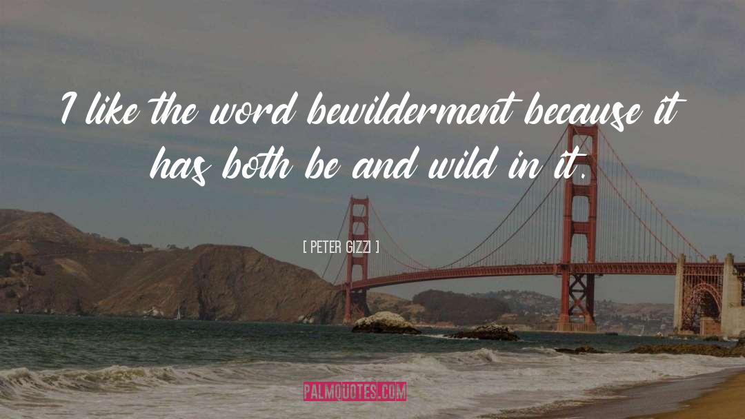 Peter Gizzi Quotes: I like the word bewilderment