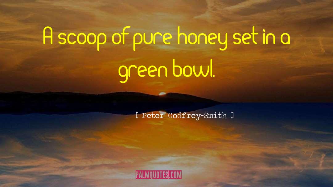 Peter Godfrey-Smith Quotes: A scoop of pure honey