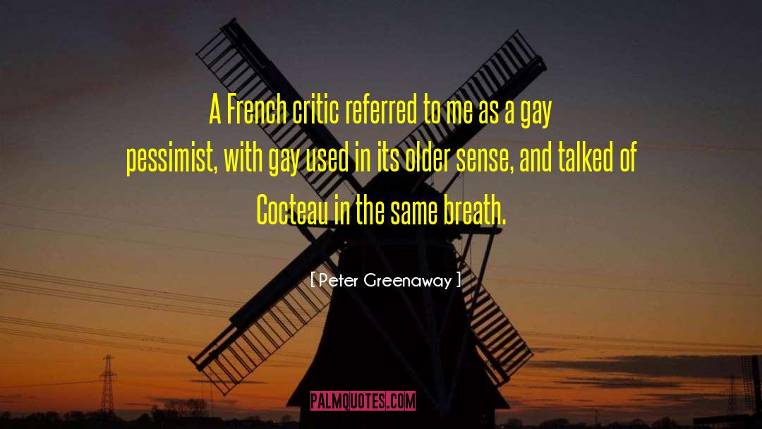 Peter Greenaway Quotes: A French critic referred to